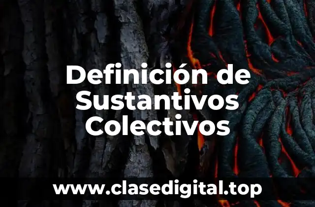 Definición de Sustantivos Colectivos