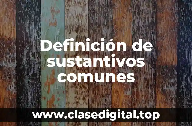 Definición de sustantivos comunes