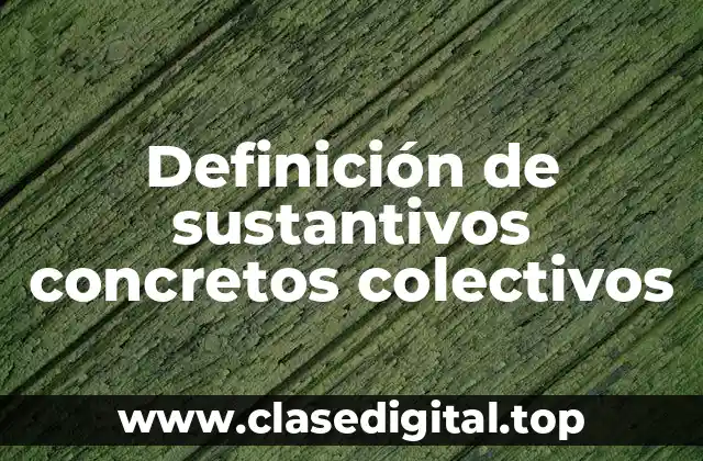 Definición de sustantivos concretos colectivos