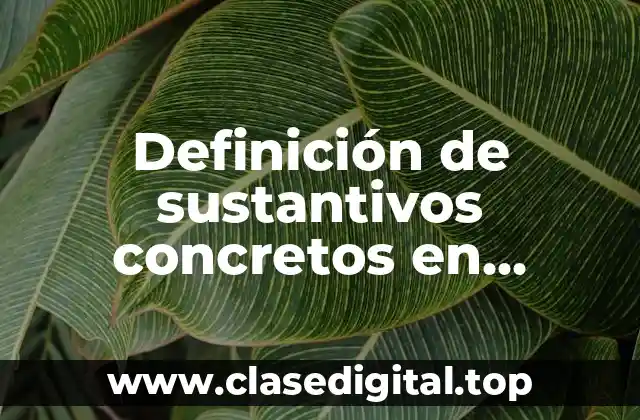 Definición de sustantivos concretos en oraciones