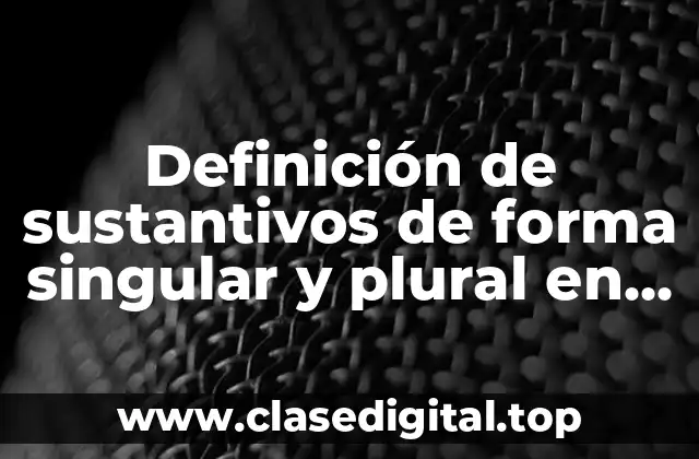 Definición de sustantivos de forma singular y plural en inglés