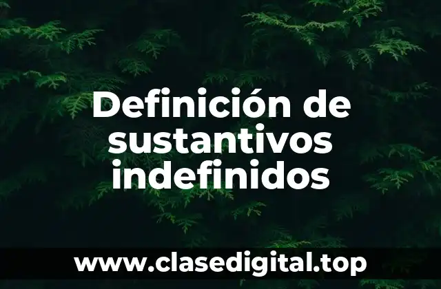 Definición de sustantivos indefinidos
