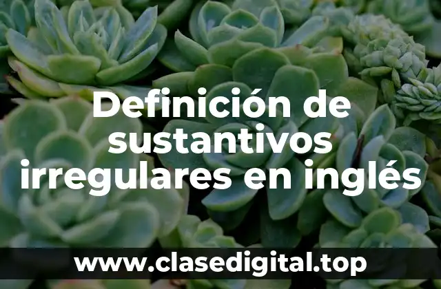 Definición de sustantivos irregulares en inglés