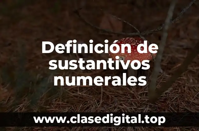 Definición de sustantivos numerales