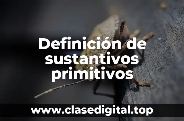 Ejemplos de sustantivos primitivos