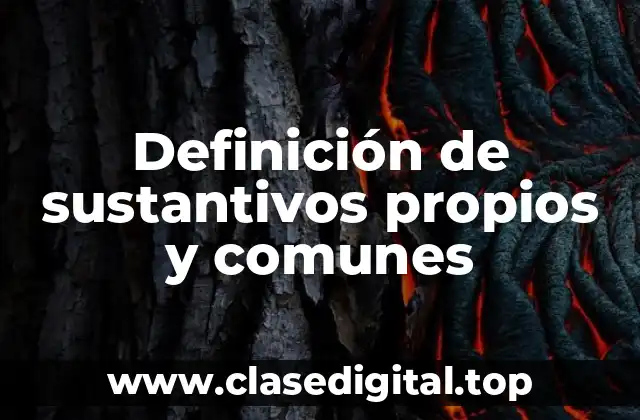 Definición de sustantivos propios y comunes