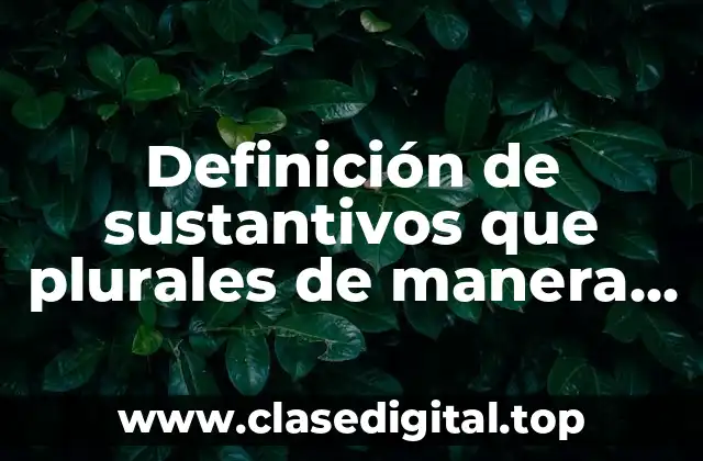 Definición de sustantivos que plurales de manera igual en inglés