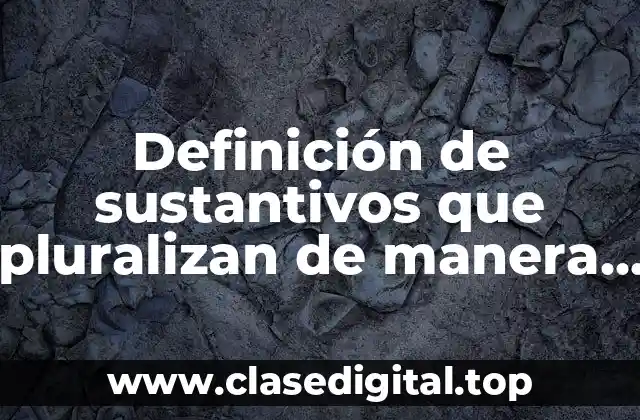 Definición de sustantivos que pluralizan de manera igual en inglés