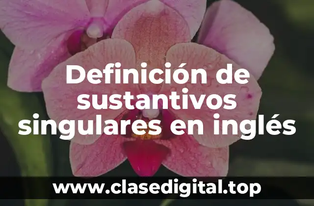 Ejemplos de sustantivos singulares en inglés