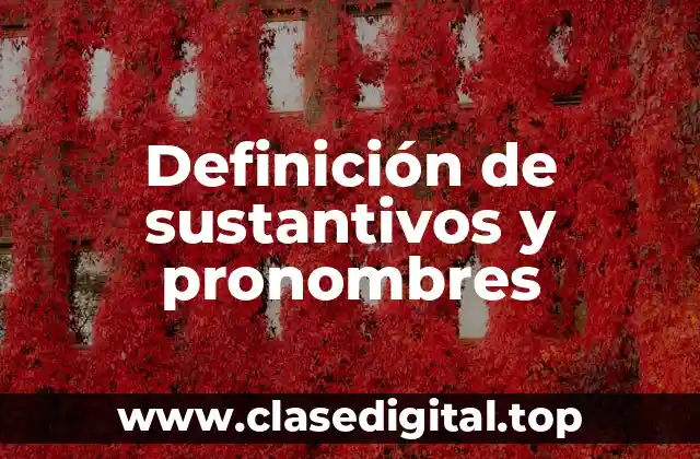 Definición de sustantivos y pronombres