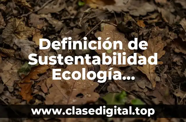 Definición de Sustentabilidad Ecología Responsabilidad Medio Hábitat y Consumo