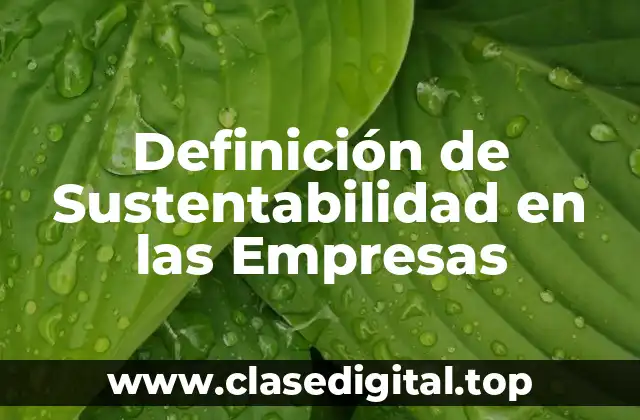 Definición de Sustentabilidad en las Empresas