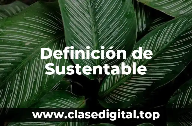 Definición de Sustentable
