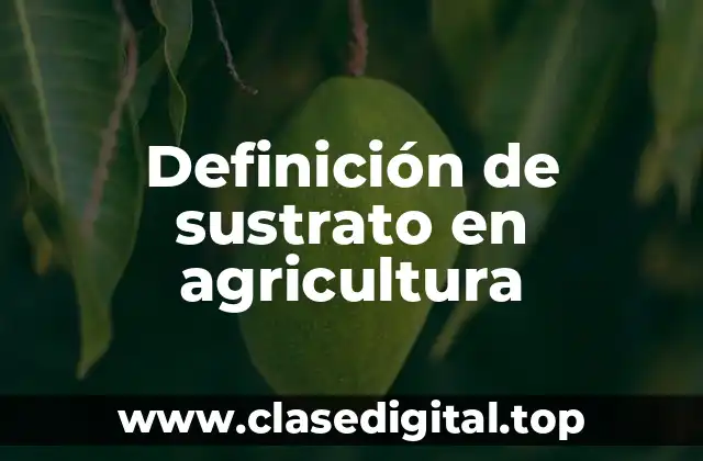 Definición técnica de sustrato