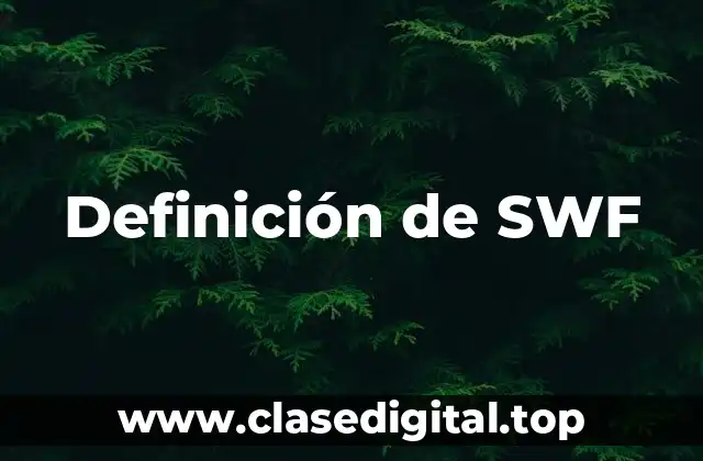 Definición de SWF