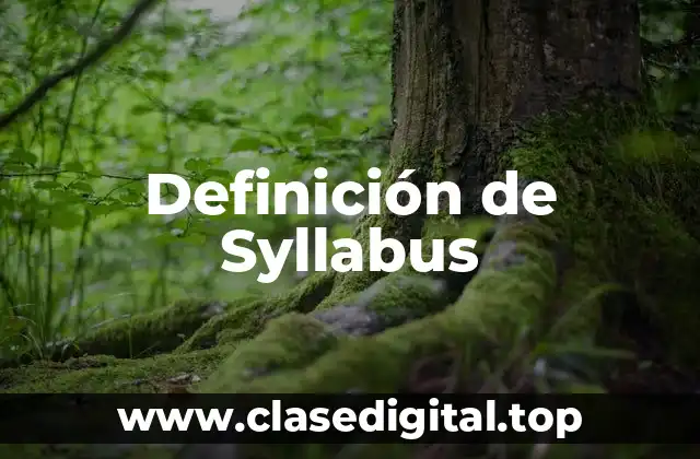 Definición de Syllabus