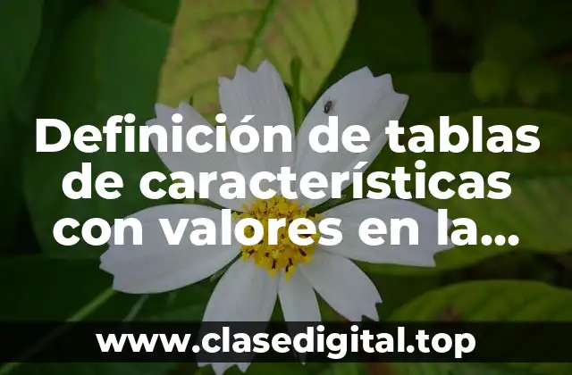 Definición de tablas de características con valores en la escuela