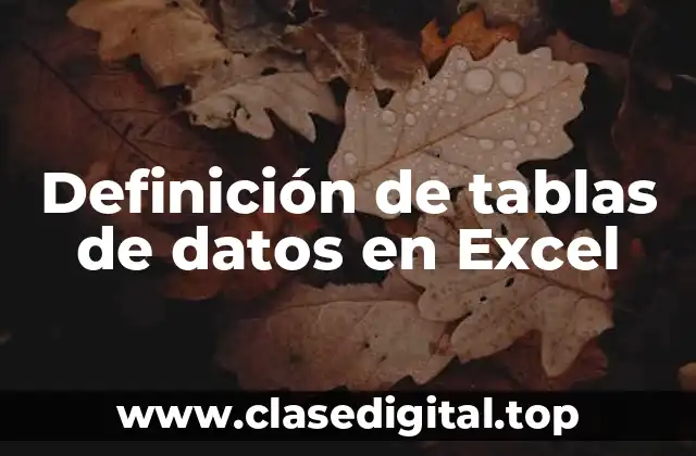 Ejemplos de tablas de datos en Excel