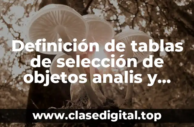 Definición de tablas de selección de objetos analis y diseño