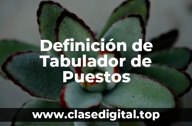 Definición de Tabulador de Puestos