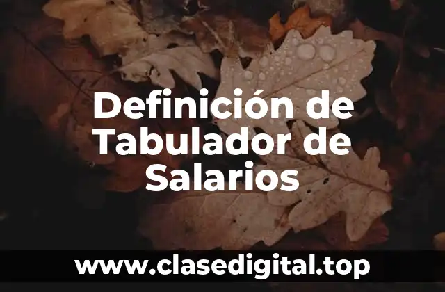 Definición de Tabulador de Salarios
