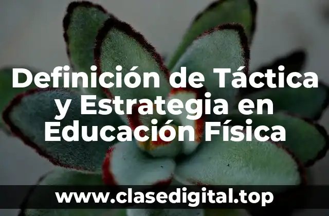 Definición de Táctica y Estrategia en Educación Física