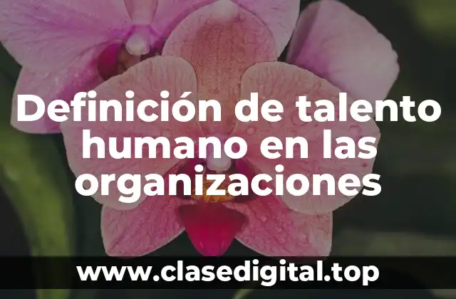 Definición de talento humano en las organizaciones
