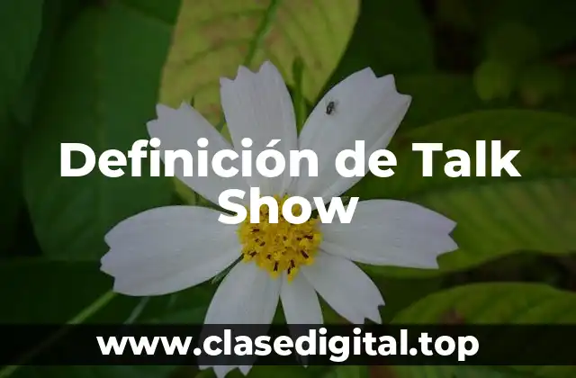 Definición de Talk Show