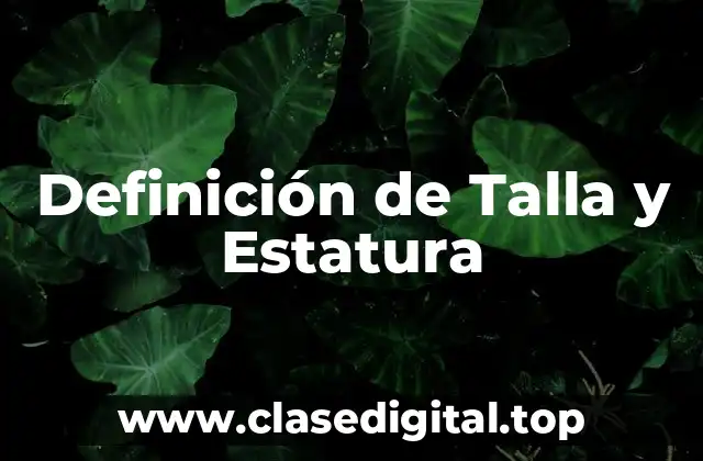 Definición de Talla y Estatura