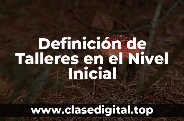 Definición de Talleres en el Nivel Inicial