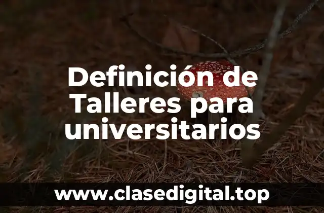 Definición de Talleres para universitarios