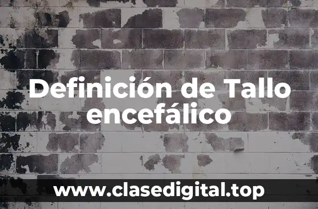 Definición de Tallo encefálico