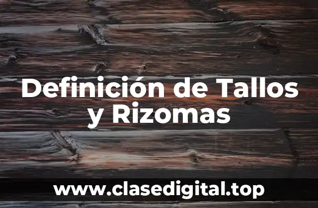 Definición de Tallos y Rizomas