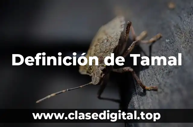 Definición de Tamal