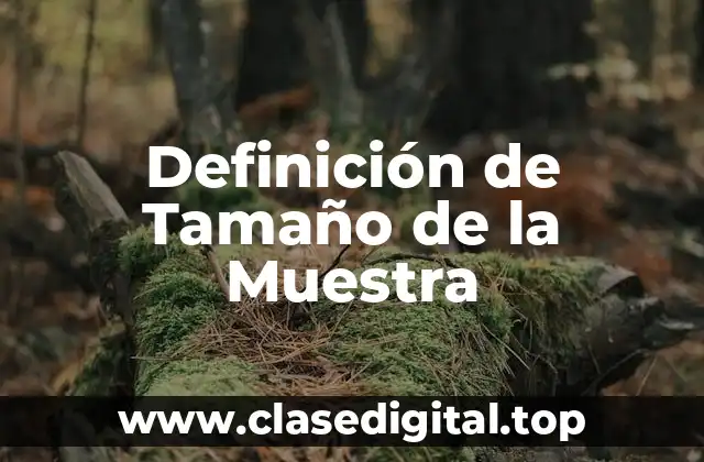 Definición de Tamaño de la Muestra