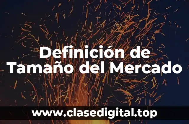 Definición de Tamaño del Mercado