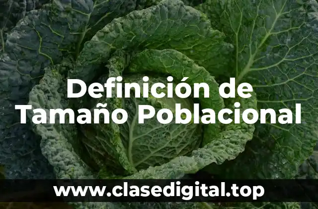 Definición de Tamaño Poblacional