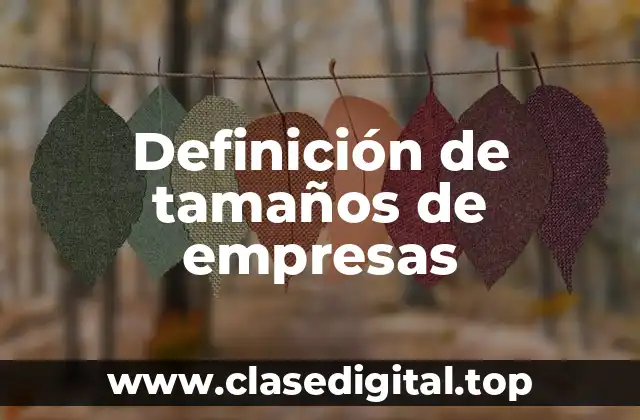 Definición de tamaños de empresas