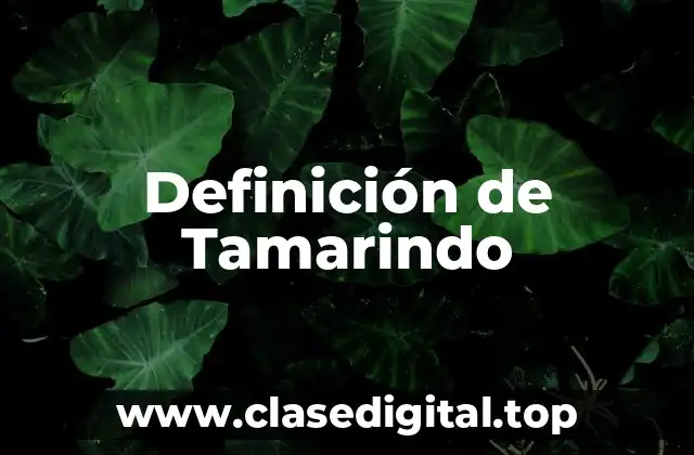Definición de Tamarindo