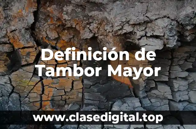 Definición de Tambor Mayor