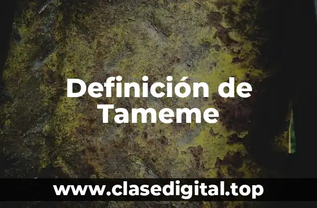 Definición de Tameme