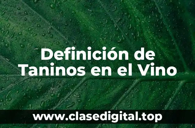 Definición Técnica de Taninos en el Vino