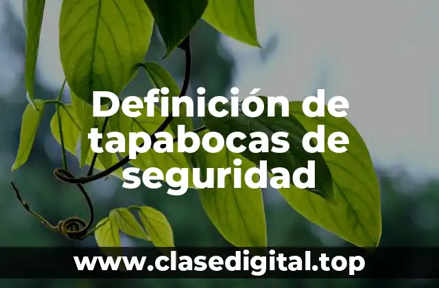 Definición técnica de tapabocas de seguridad