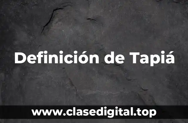Definición de Tapiá