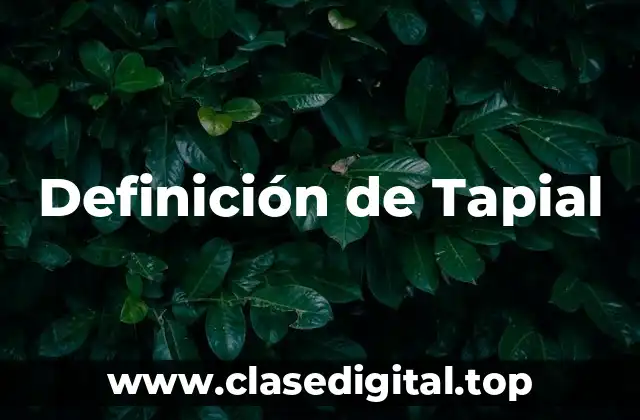 Definición de Tapial