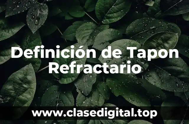 Definición de Tapon Refractario