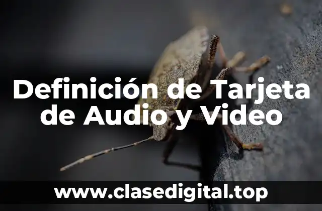 Definición de Tarjeta de Audio y Video