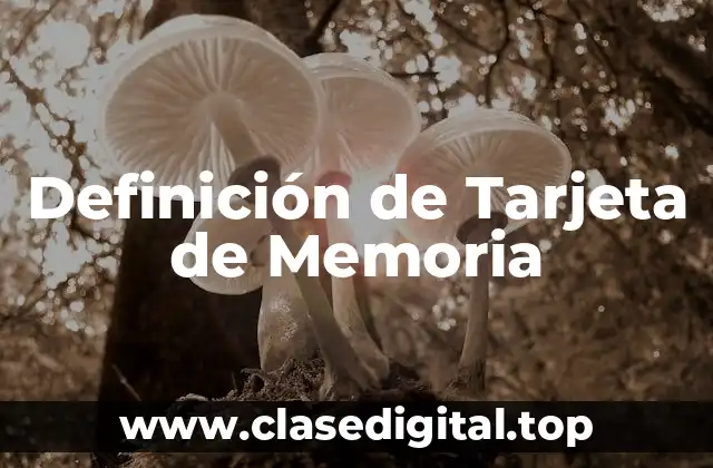 Definición Técnica de Tarjeta de Memoria