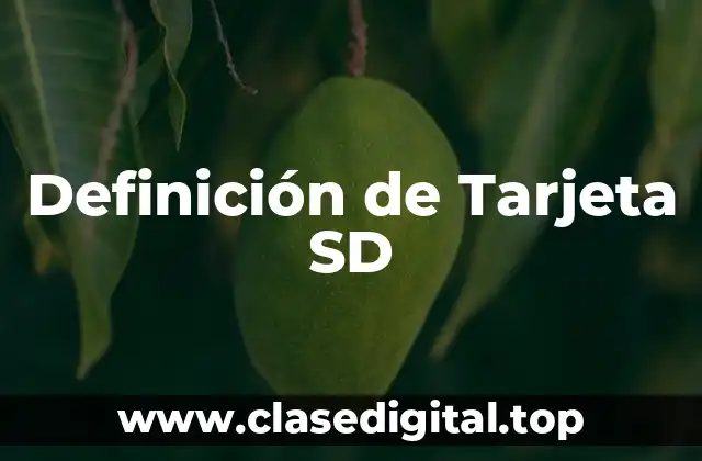 Definición de Tarjeta SD