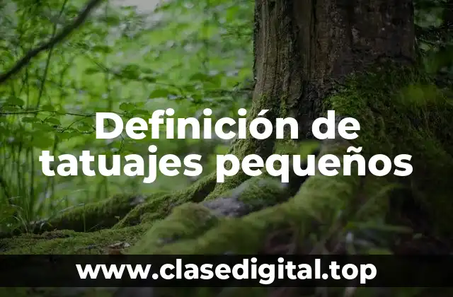 Definición de tatuajes pequeños